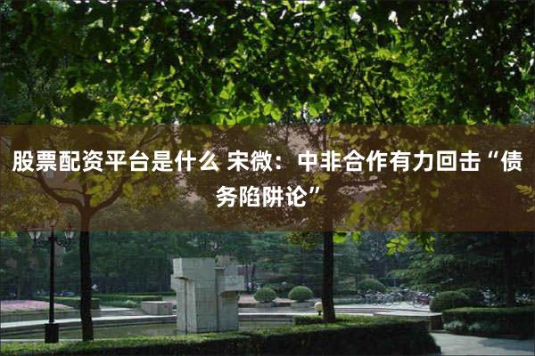 股票配资平台是什么 宋微：中非合作有力回击“债务陷阱论”