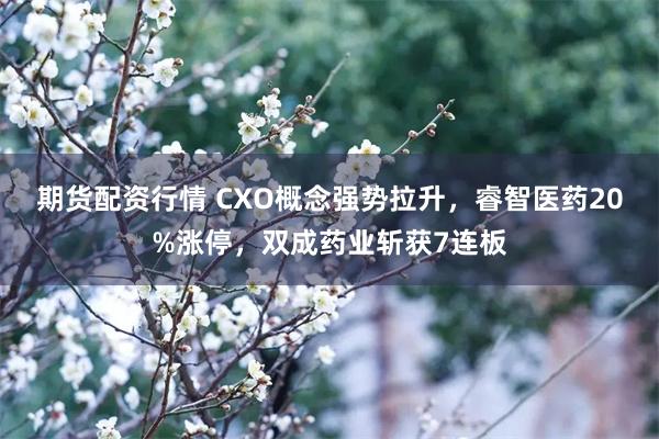 期货配资行情 CXO概念强势拉升，睿智医药20%涨停，双成药业斩获7连板