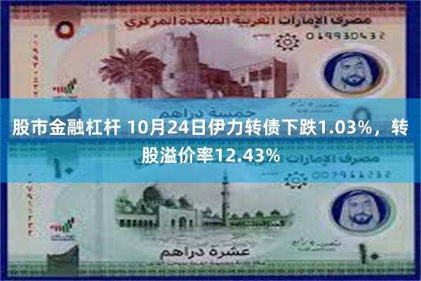 股市金融杠杆 10月24日伊力转债下跌1.03%，转股溢价率12.43%