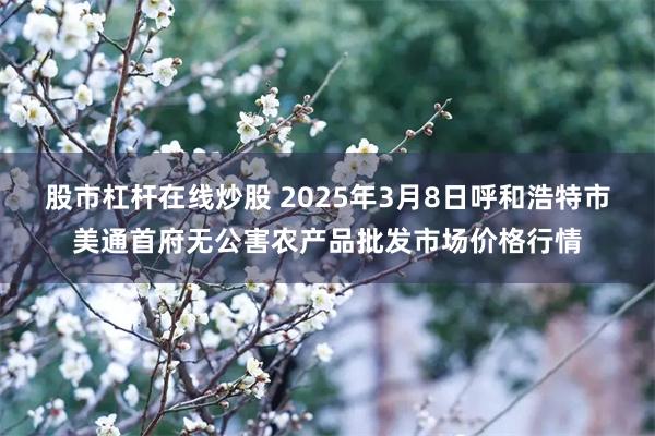 股市杠杆在线炒股 2025年3月8日呼和浩特市美通首府无公害农产品批发市场价格行